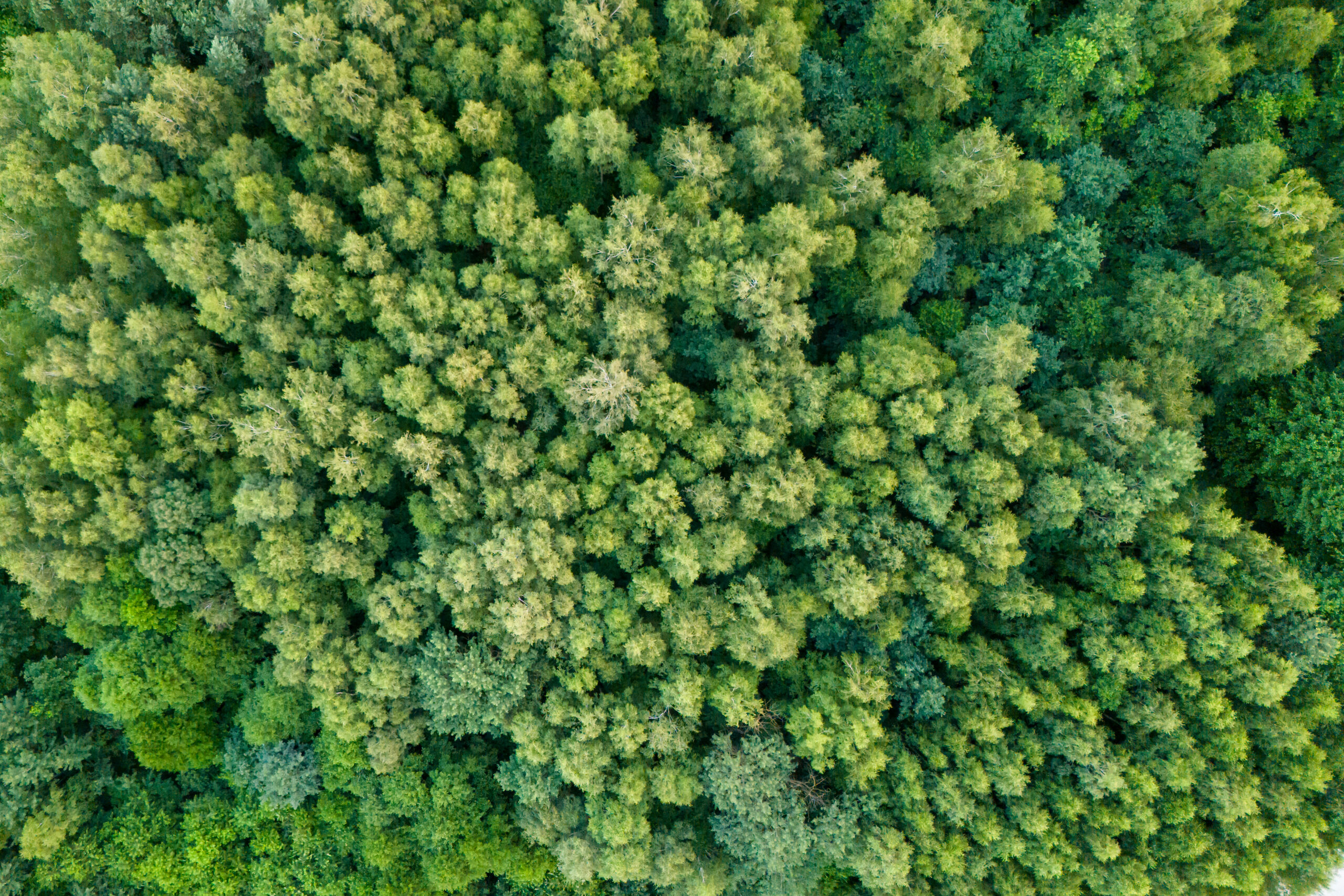 Conseil Énergie Climat