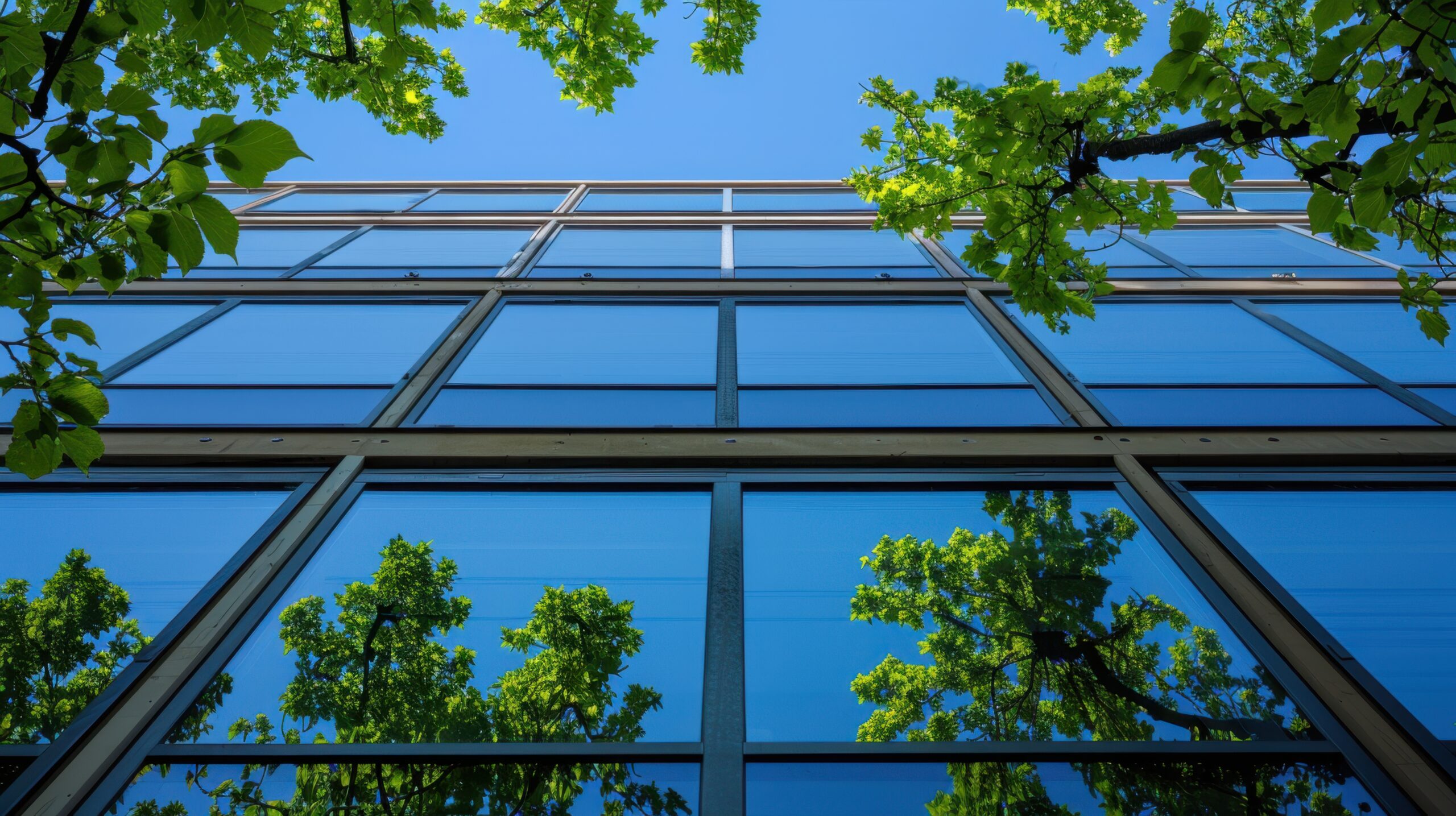 Conseil Énergie Climat Construction Tertiaire