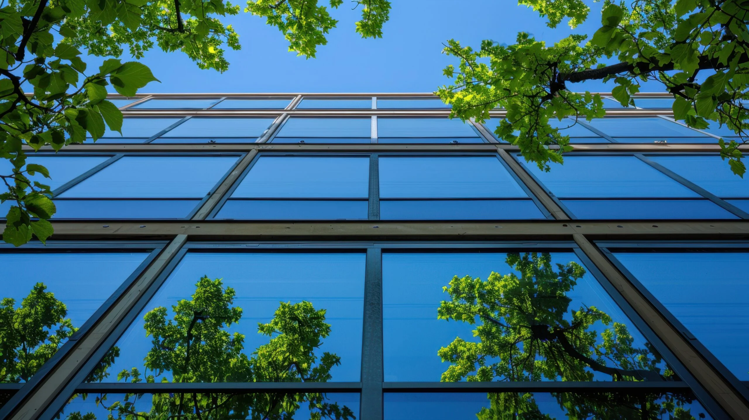 Conseil Énergie Climat Construction Tertiaire